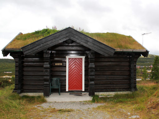 Kvisten